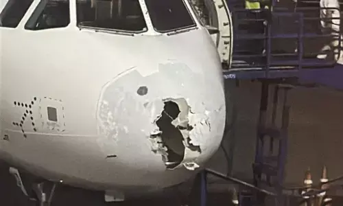 indigo, srinagar, flight