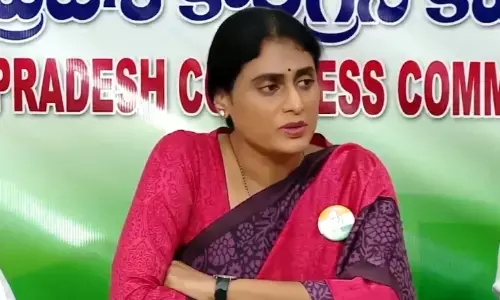 ys sharmila, apcc chief,  totapuri mango, farmers
