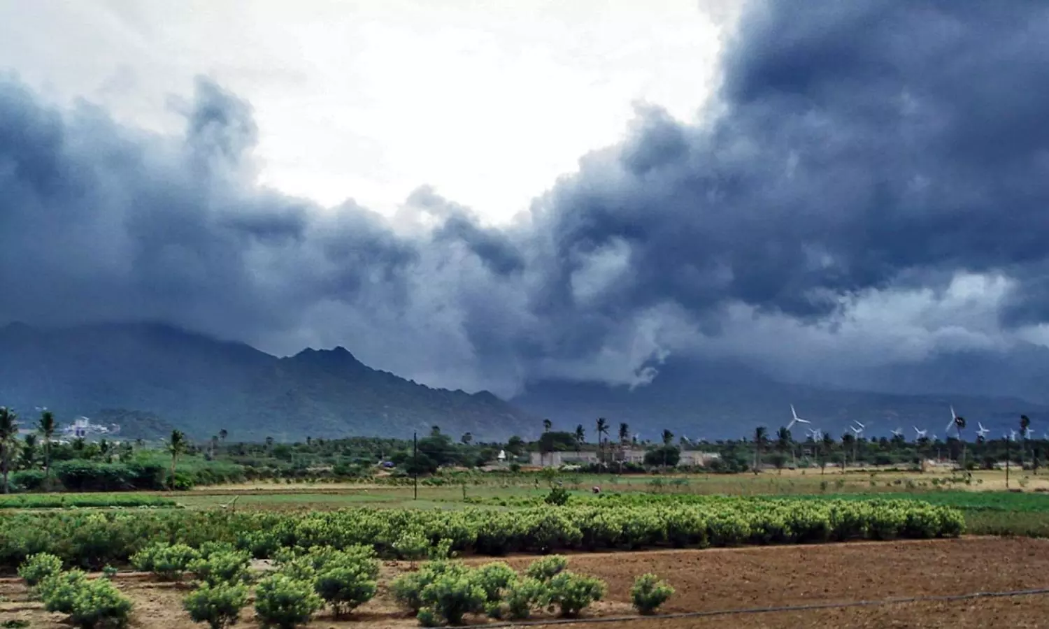 Monsoon, kerala,weather update