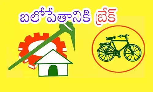 telugu desam party, chandrababu, cadre, telangana