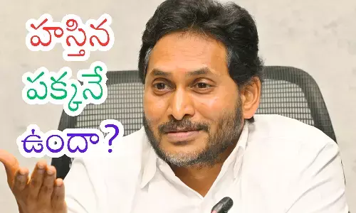 ys jagan, ycp chief,  grip, delhi