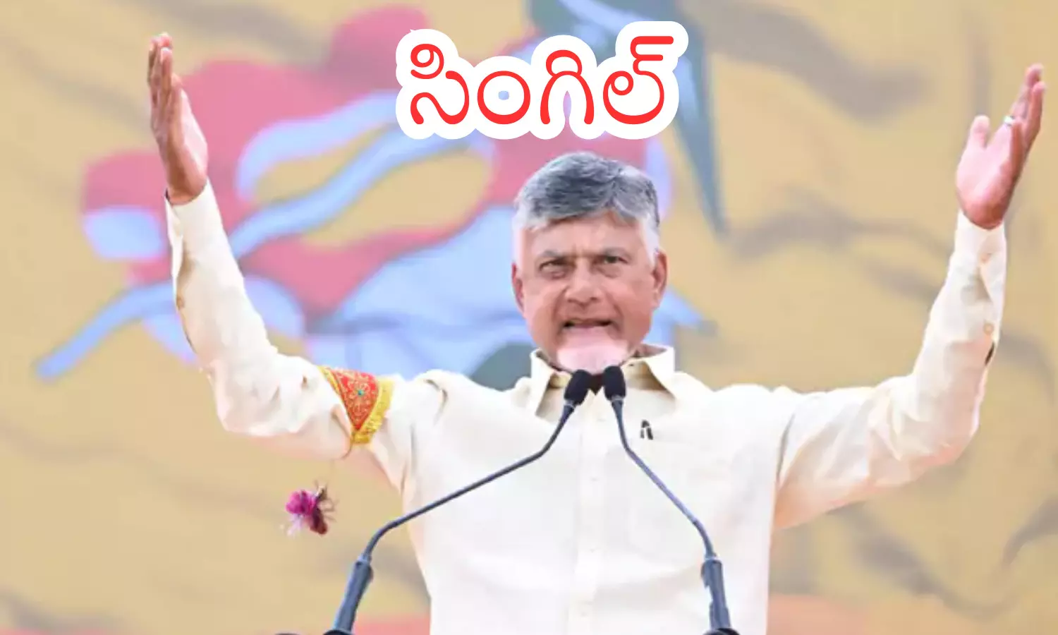 chandrababu naidu,chief minister, vision, ap politics chandrababu naidu,chief minister, vision, ap politics