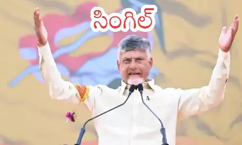 chandrababu naidu,chief minister, vision, ap politics