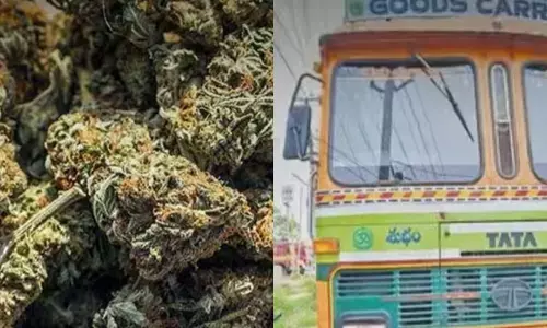 పుష్ప సినిమాను తలపించే స్మగ్లింగ్‌..  క్యాబిన్‌లో రహస్య అర