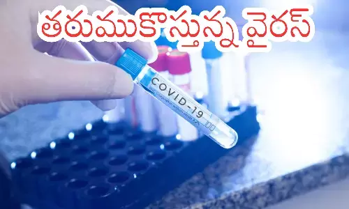 covid cases, increasing, kerala,  india