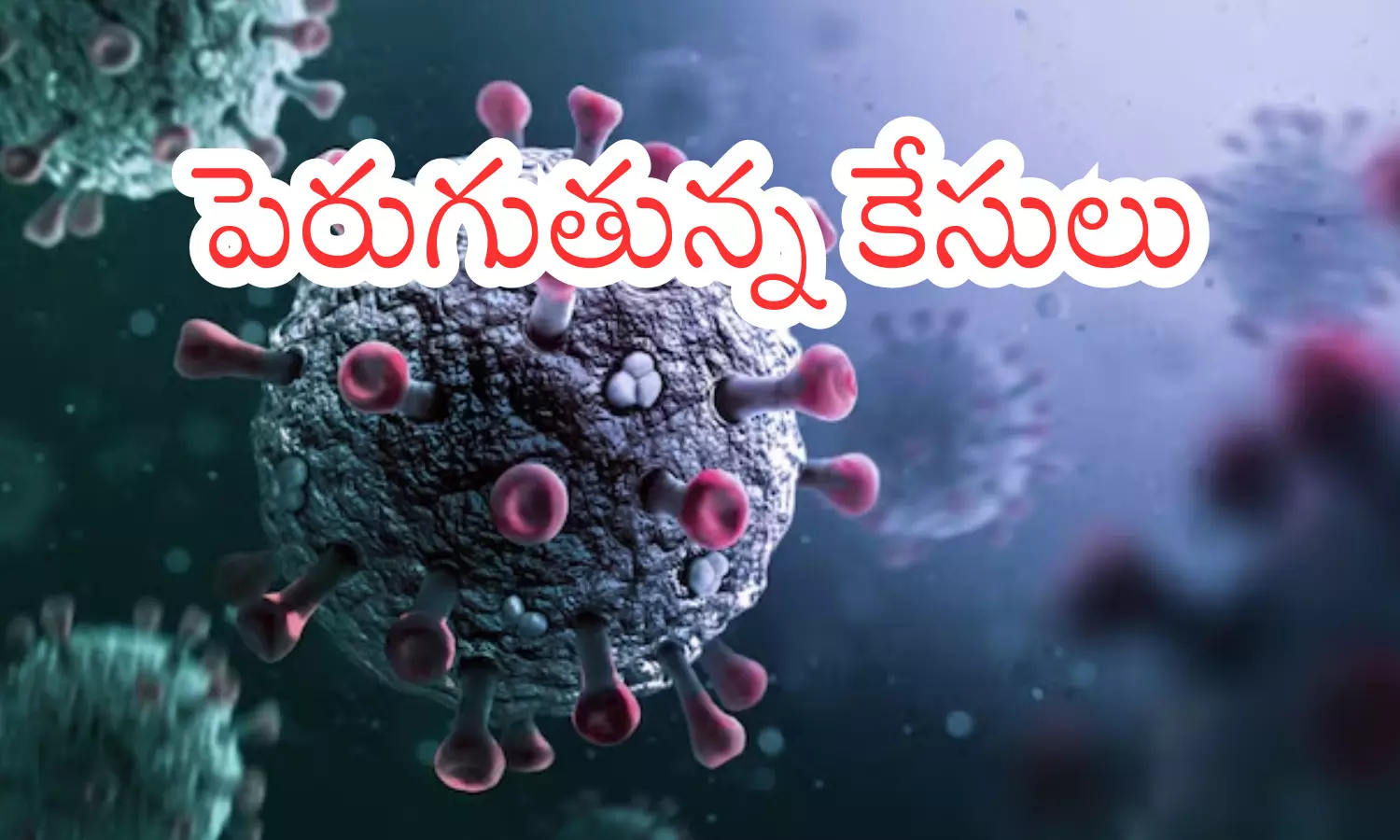 corona virus, increasing, positive cases,  india