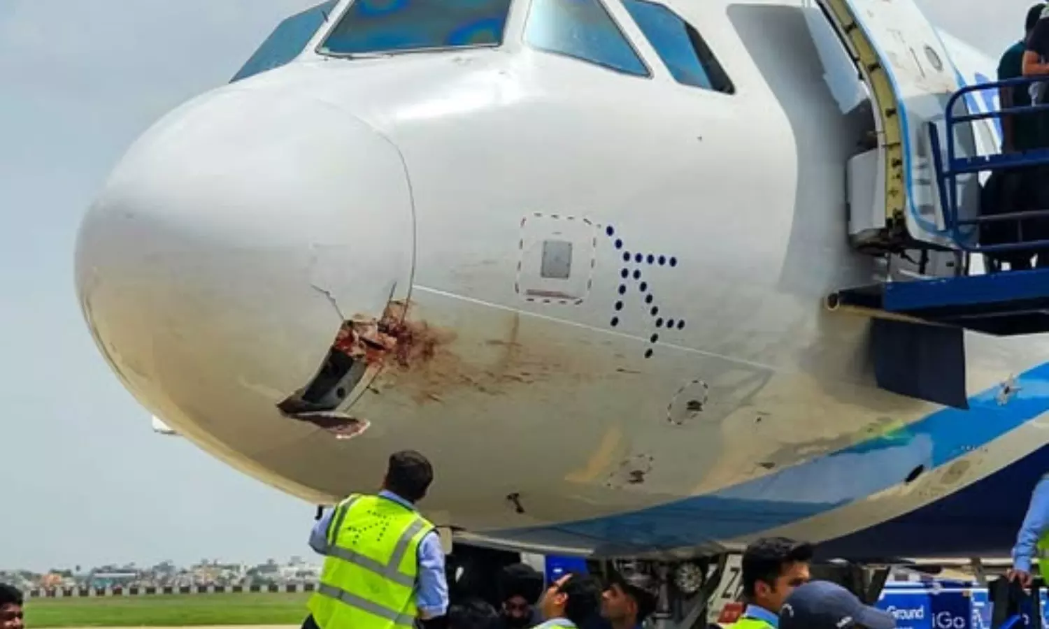 175 మందితో వెళుతున్న విమానం.. ఢీకొట్టిన రాబంధు
