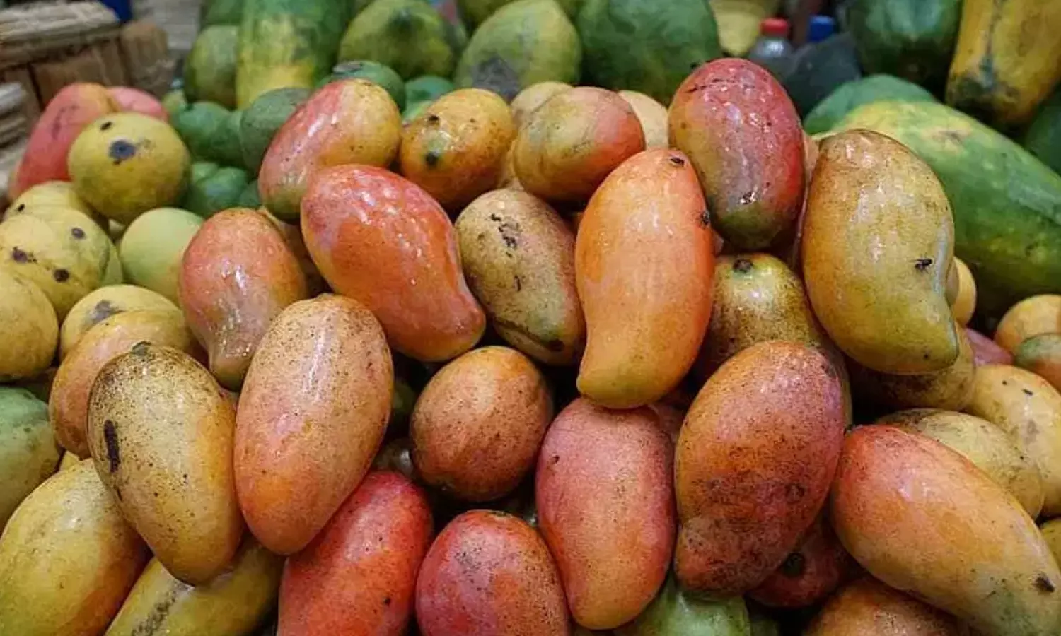 good news, mango farmers,support price, andhra pradesh