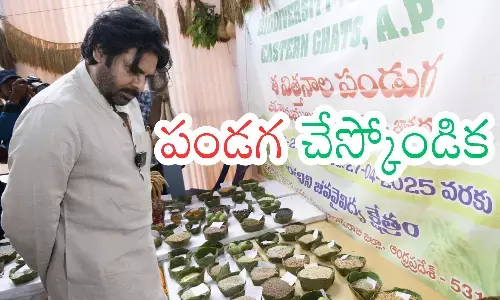 jana sena, diwali,  sankranti , june 4th