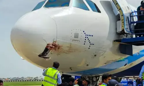 175 మందితో వెళుతున్న విమానం.. ఢీకొట్టిన రాబంధు