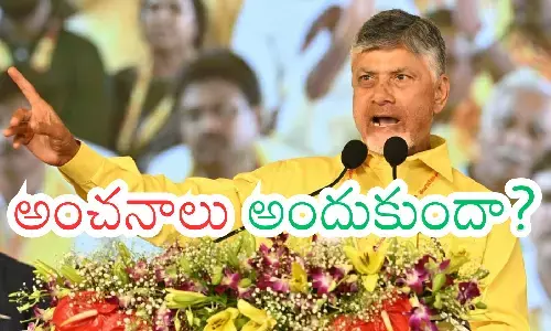 chandrababu, one year, governannce, ap politics