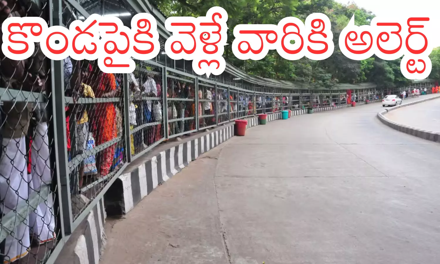 today darsan time in tirumala, rush, devotees, saturday today darsan time in tirumala, rush, devotees, saturday