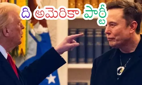 the america party, new party, elon musk, donald trump