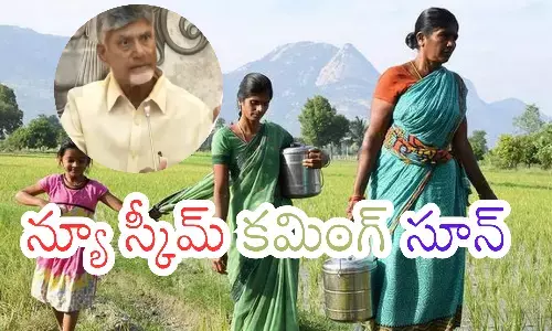chandrababu naidu, new scheme, women,  andhra pradesh
