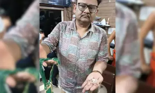 20 లక్షల బంగారు ఆభరణాలున్న పర్సును ఎత్తుకెళ్లిన కోతి