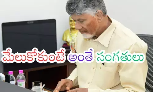 chandrababu, chief minister, alert, ap politics