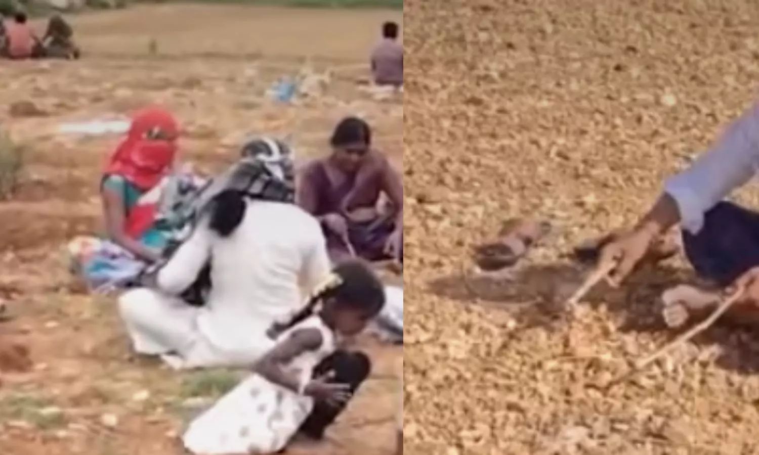 ఒక్క వజ్రం దొరికితే చాలు.. అన్నీ మారుతాయి