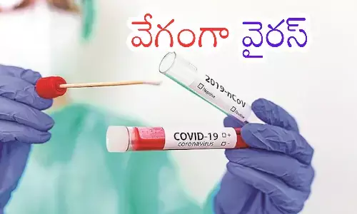oronavirus, active cases,  increasing india