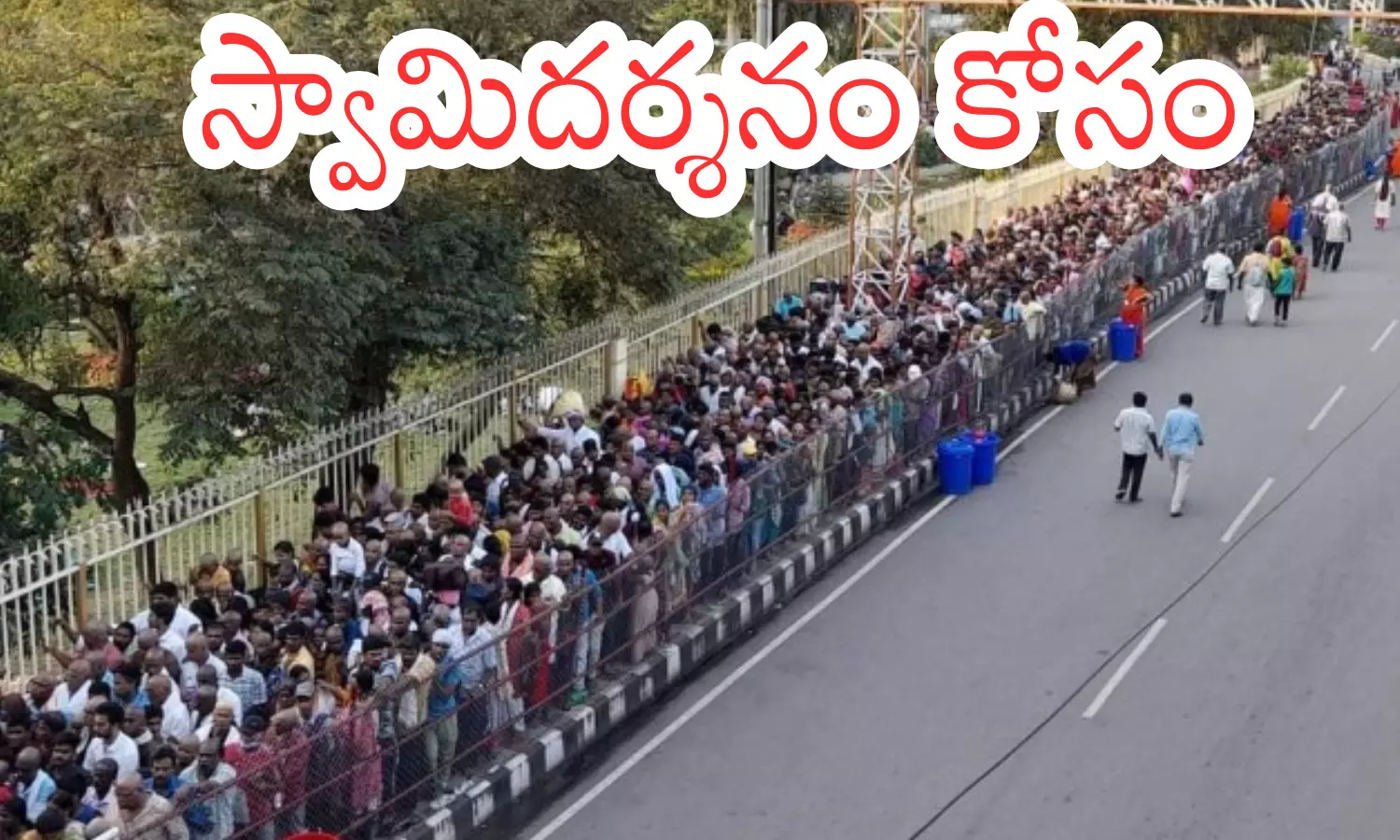 darsan time today in tirumala, rush,  devotees,  tuesday