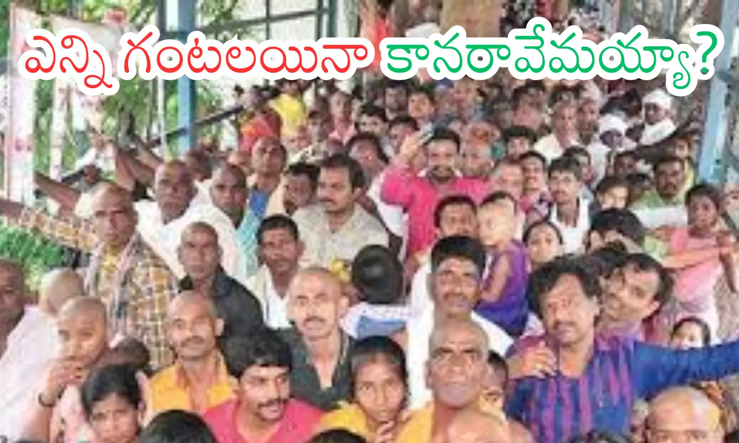 darsan time today in tirumala, rush, devotees,  thursday