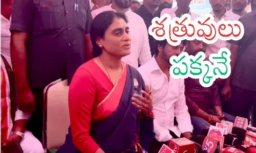 ys sharmila, congress chief , problem, andhra pradesh