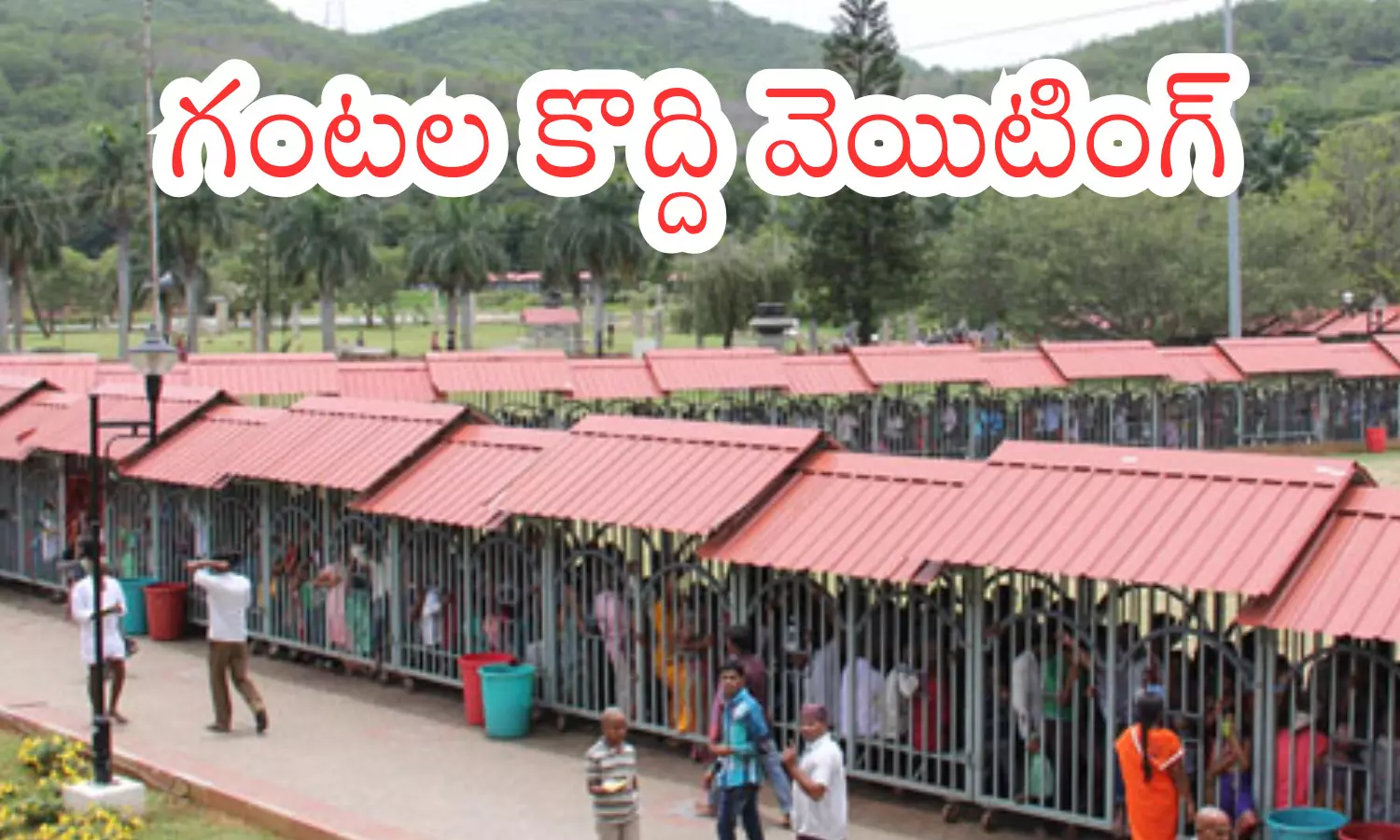 today darsan time in  tirumala, rush,  devotees, friday