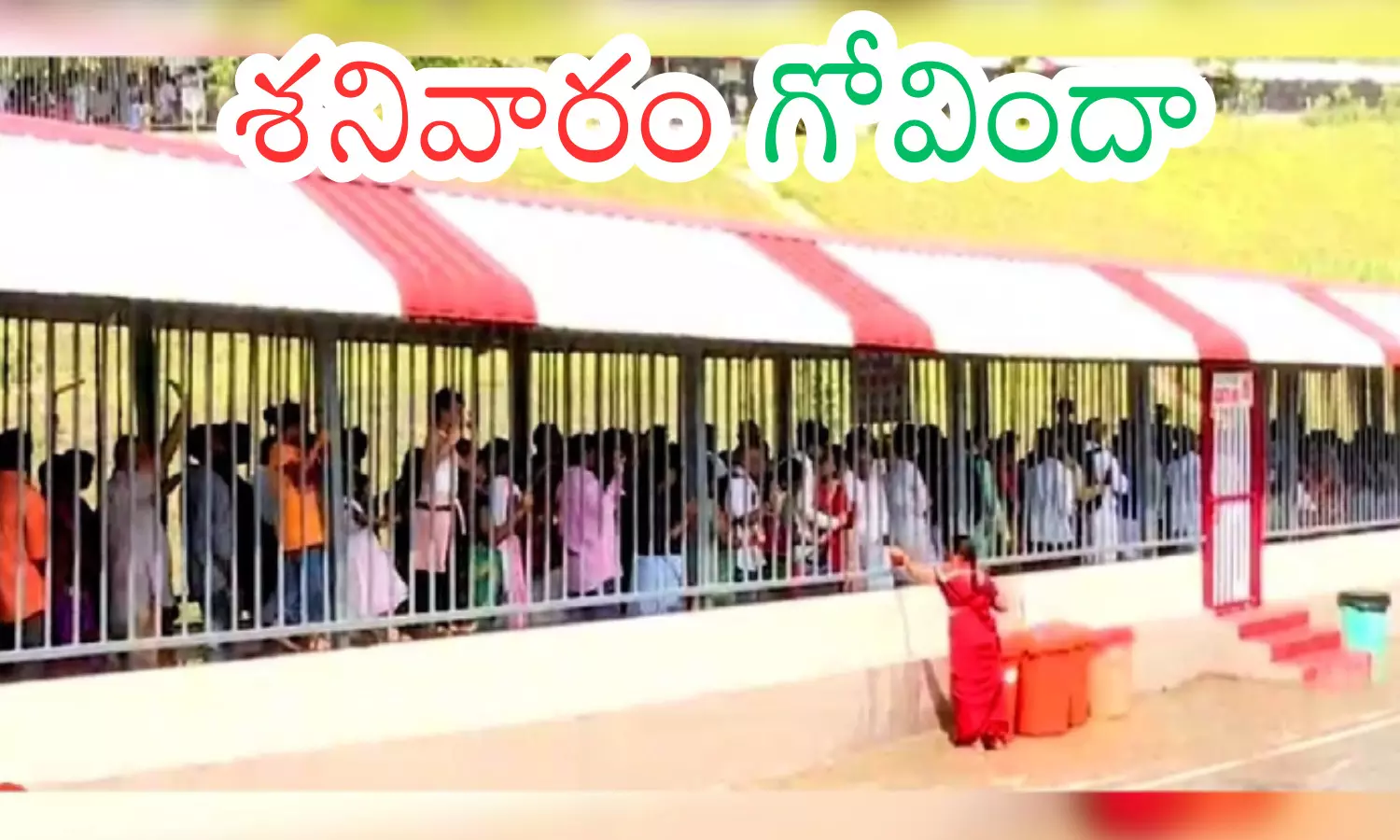 today darsan time in  tirumala, rush, devotees, saturday