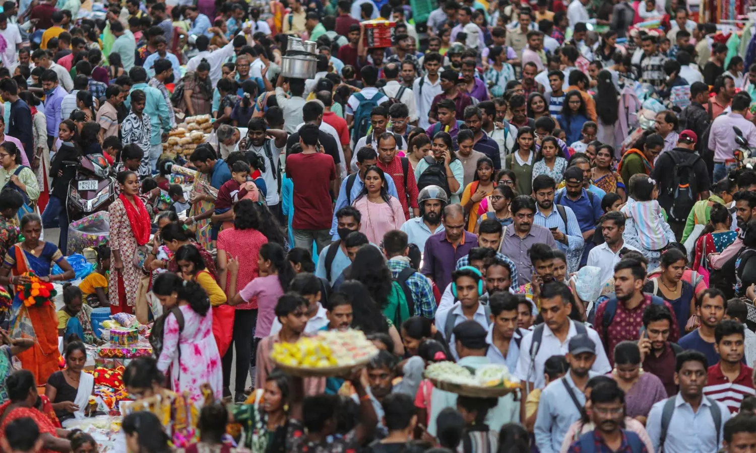 notification, census, released,  india