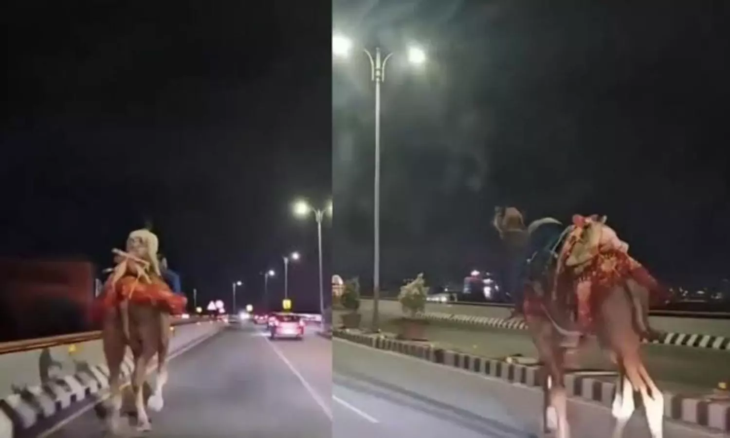 అక్కడికి ఒంటెను ఎలా తీసుకొచ్చావయ్యా?