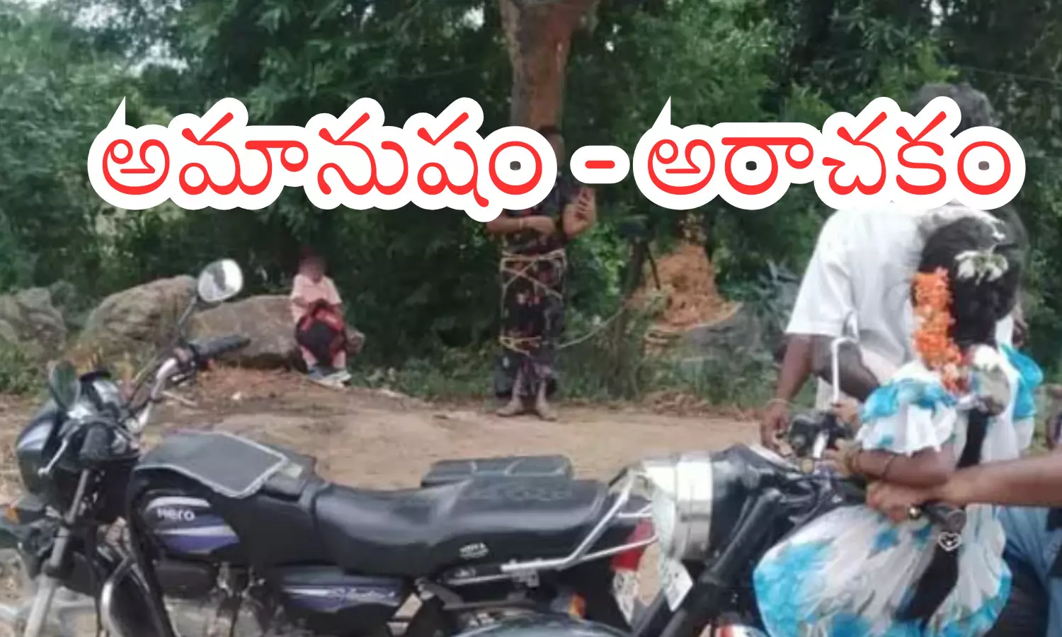 woman,  tying, tree,  kuppam