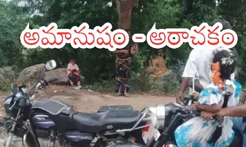 woman,  tying, tree,  kuppam