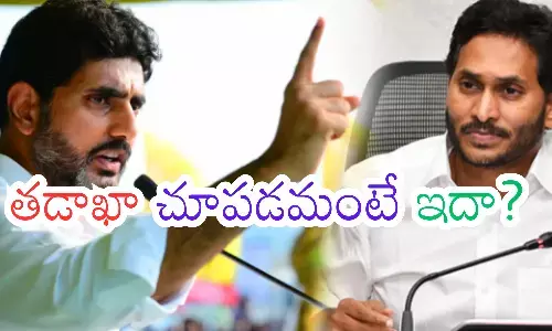 factional politics, tdp, ycp,  andhra pradesh