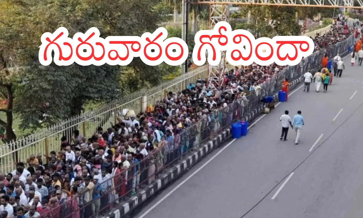 darsan time today in tirumala, rush, devotees, thursday