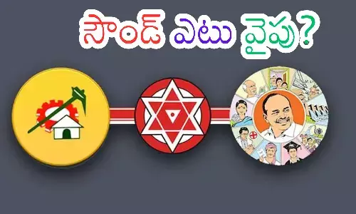local body elections, tdp, ycp, ap politics