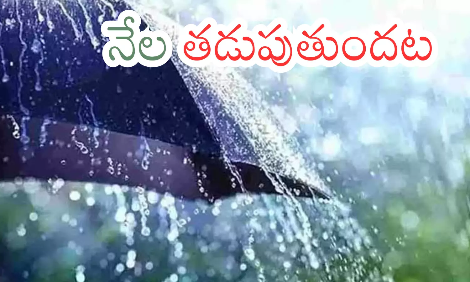 meteorological department,  rain, andhra pradesh,  telangana
