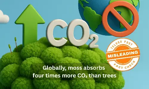 Fact Check: Moss Does Not Absorb More CO₂ Than Trees — Misleading Claim Explained with Scientific Evidence