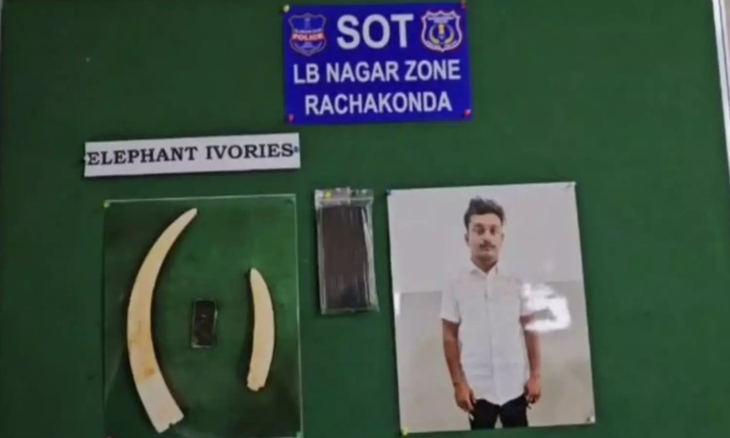 హైదరాబాద్ లో ఏనుగు దంతాలను స్మగ్లింగ్ చేస్తూ