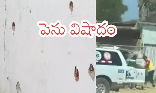 shooting,  twelve people  died, man, mexico