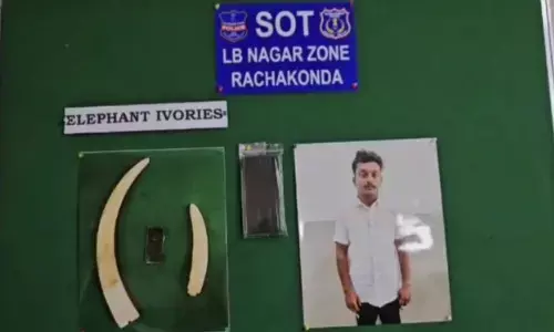 హైదరాబాద్ లో ఏనుగు దంతాలను స్మగ్లింగ్ చేస్తూ