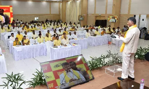 telugu desam party, state-level conference,29th of this month, chandrababu