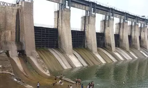 మంజీరా బ్యారేజీ.. మొసళ్లతో డేంజర్