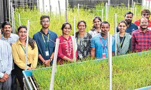 వచ్చేసింది ర్యాపిడ్ రాగి.. ఏడాదికి ఎన్నిసార్లంటే?