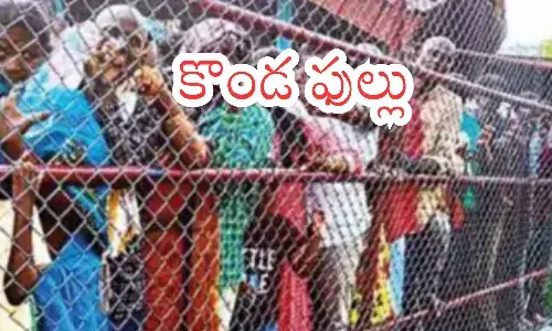 darsan time today in  tirumala, rush,  devotees, saturday