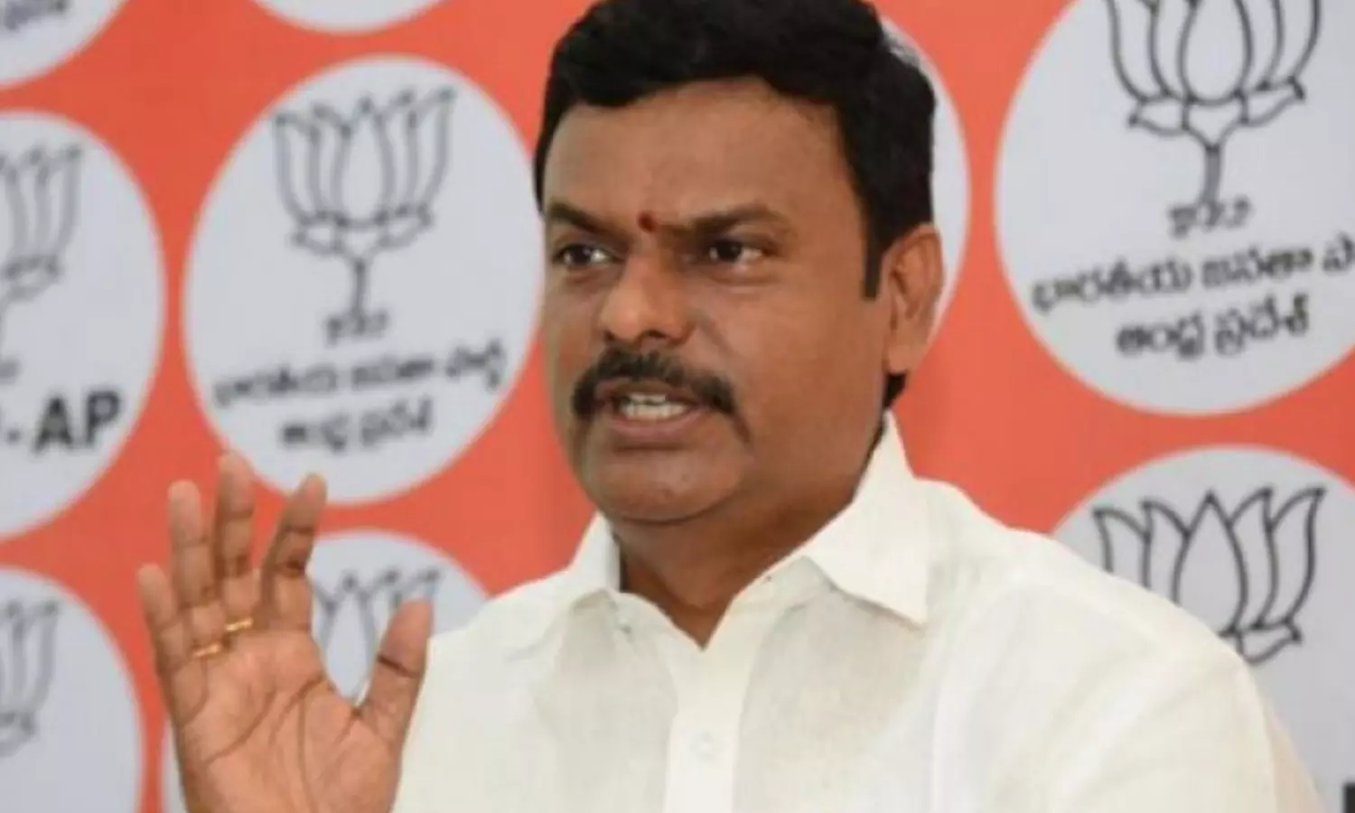 leadership, finalized, madhav, ap bjp