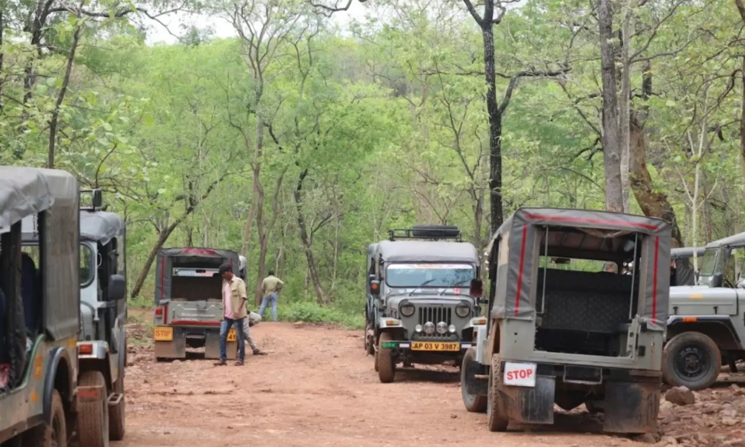 ishtakameshwari temple yatra, break, forest department, srisailam