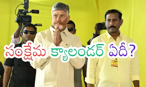 telugu desam, welfare calendar,  release, andhra pradesh