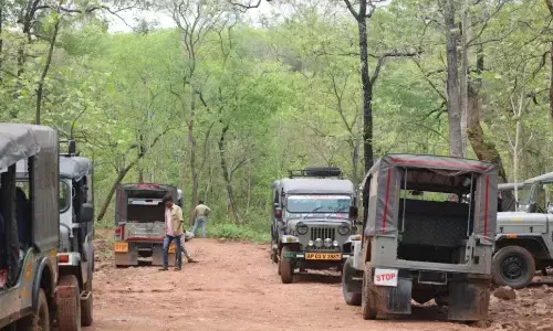 ishtakameshwari temple yatra, break, forest department, srisailam