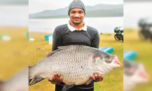 ఒక్క చేప 22.5 కిలోలు.. దశ తిరిగింది