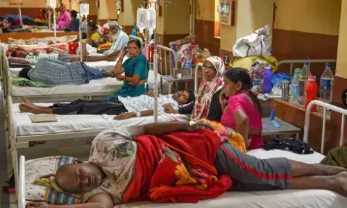 dengue fever, increasing , hyderabad, telangana
