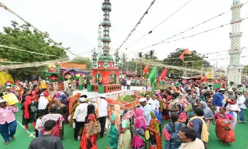 rotila festival, five days, arrangements,  nellore